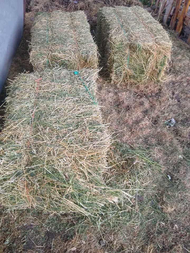 Delivered Hay Bales