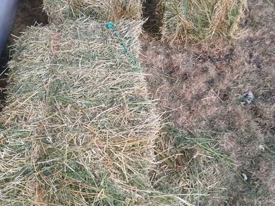 Delivered Hay Bales