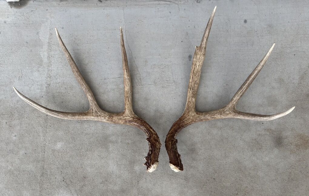 Big 3 Point Shed Set