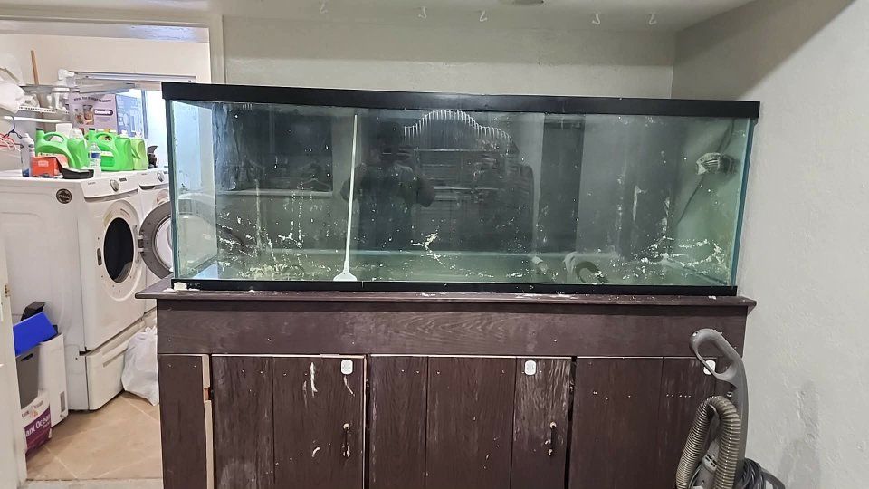 Large Aquarium Fish Tank with Stand and Filtration System