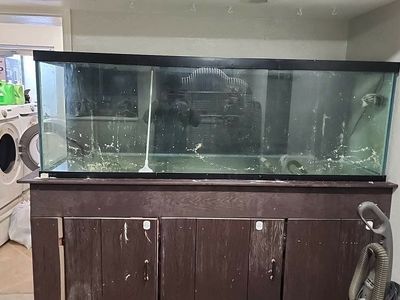 Large Aquarium Fish Tank with Stand and Filtration System