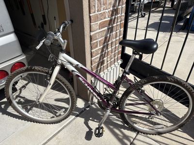 Schwinn Mountian Bike