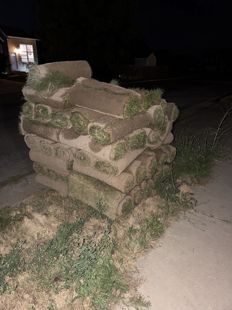 Kentucky Blue Grass Sod, Over 500 sq ft ($300 for all, or willing to sell by roll)