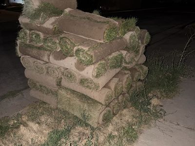 Kentucky Blue Grass Sod, Over 500 sq ft ($300 for all, or willing to sell by roll)
