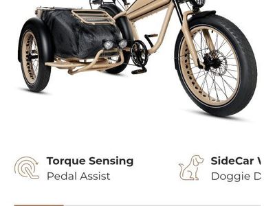 Modbike Sahara e-bike w/sidecar