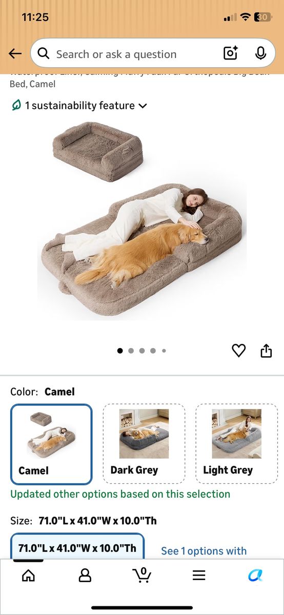 Human/Pet Dog Bed/Chair