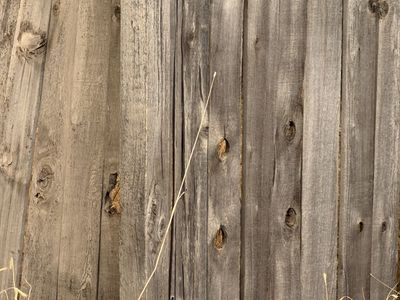 Rustic Wood, Barn Wood