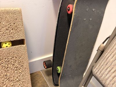 Skateboard and Longboard