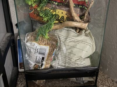 12x12 Arboreal Tank