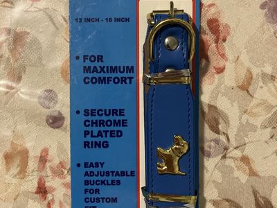 Paws N Claws Leather Dog Collar 13 - 16 Inch Blue with Brass Embellishments