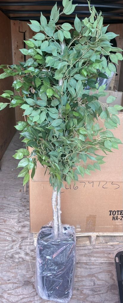 6' Artificial plant - New