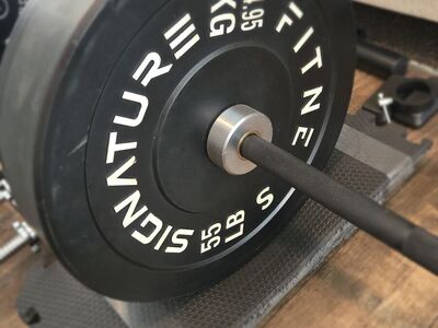 Weights Plates, Dumbells, Bench , etc
