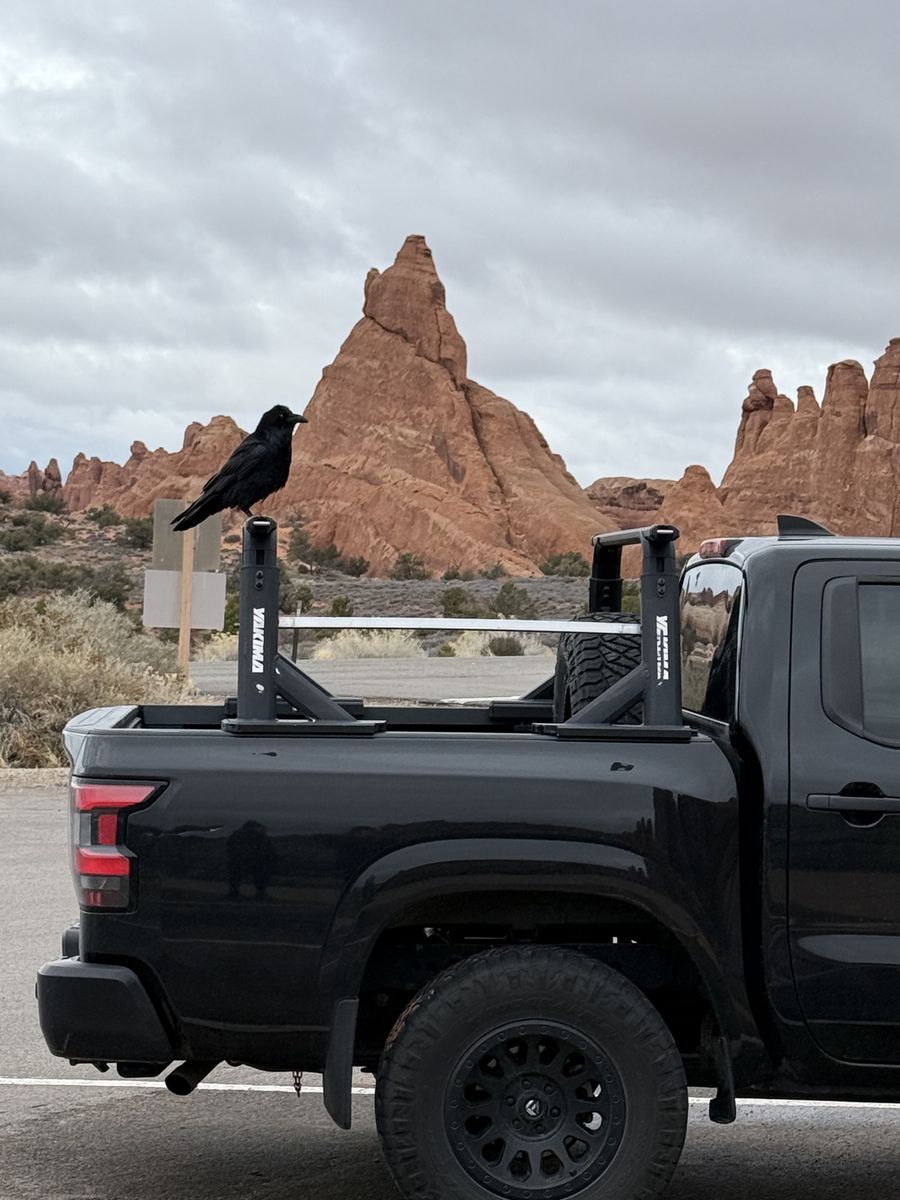 Lock Out & Jump Start