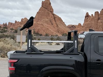 Lock Out & Jump Start