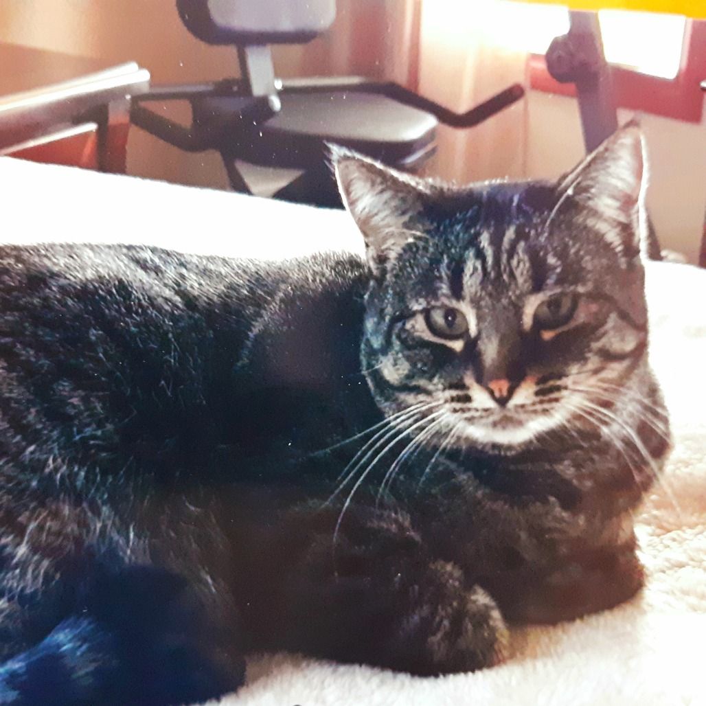 Hello my name is Tipz