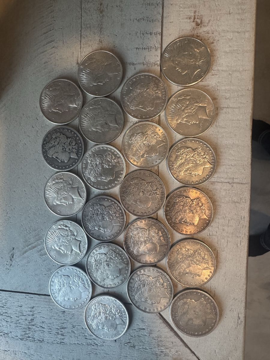 22-Coin Vintage US Silver Dollar Collection (1878–1926)