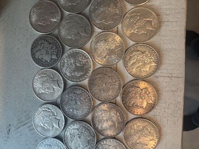 22-Coin Vintage US Silver Dollar Collection (1878–1926)