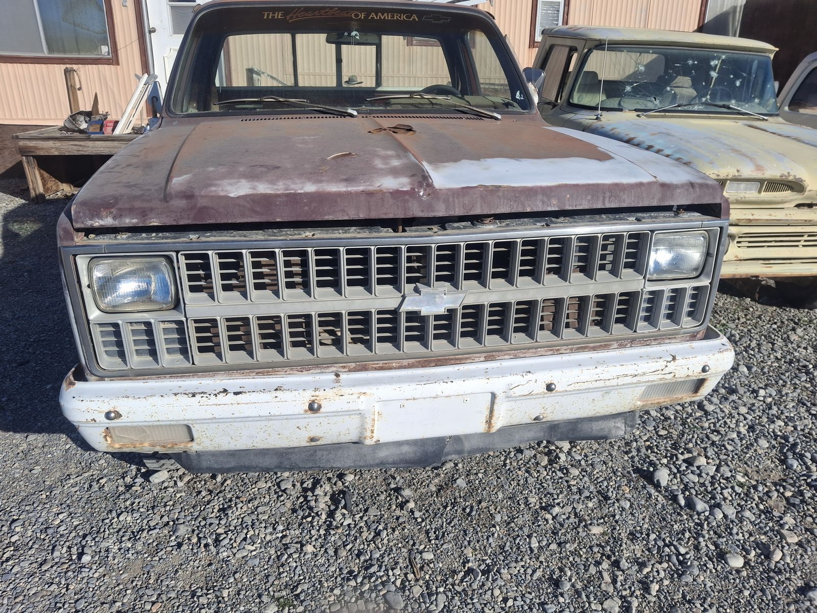 81 CHEVY TRUCK RUST FREE