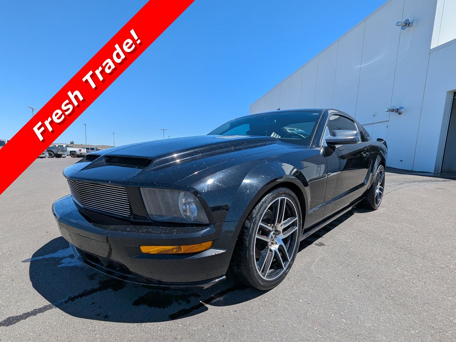 2008 Ford Mustang GT Premium
