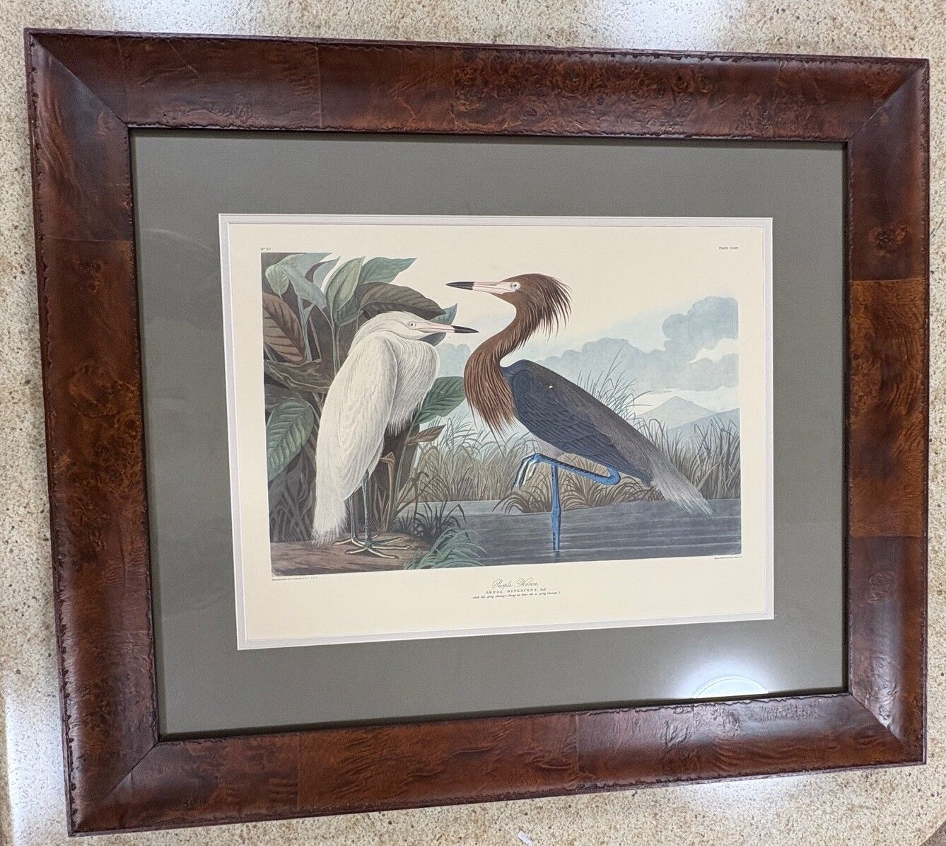 STUNNING AUDUBON PURPLE HERON PRINT - 31"x26" FRAMED - READY TO HANG