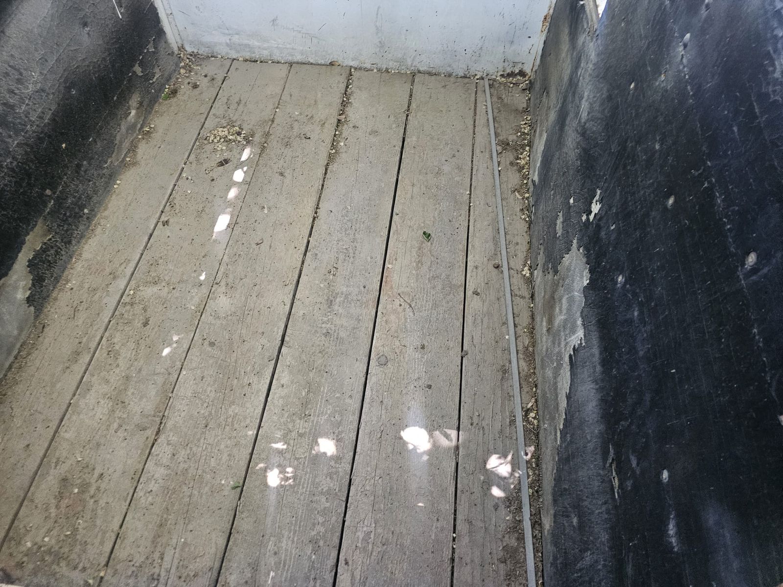 Main image 7