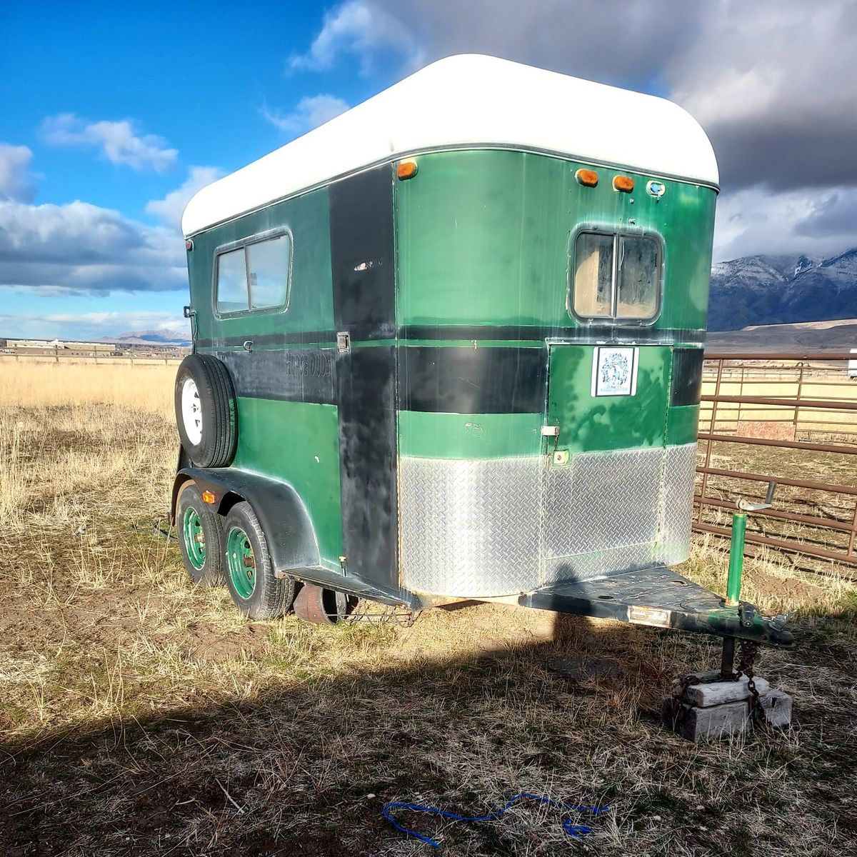 2 horse straight load trailer