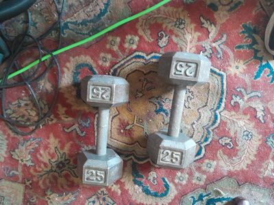 Pair 25lb Iron Hex DBs
