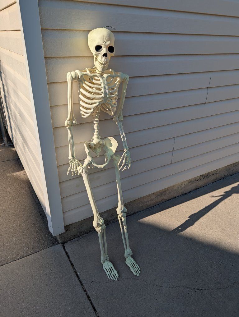 Mr. Skeleton