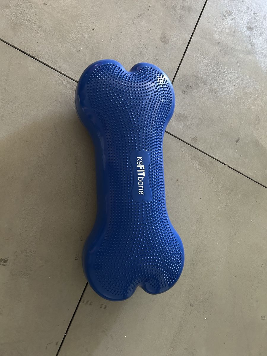 FitPAWS K9FITbone Blue Canine Fitness & Balance Platform Physical Therapy