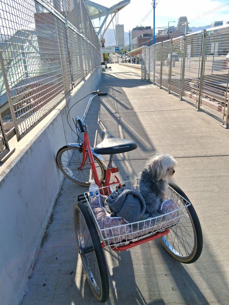 Vintage Tricycle