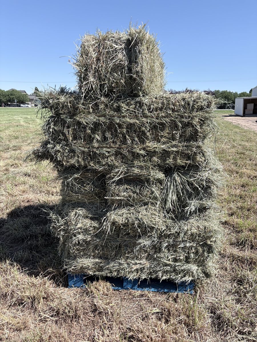 Grass Hay 2026 1st crop