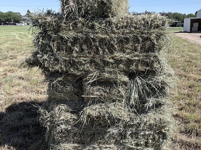 Grass Hay 2026 1st crop