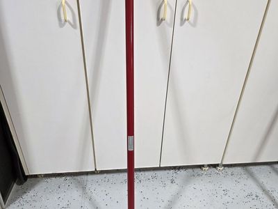 thatching rake