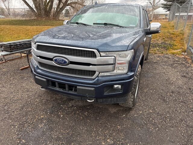 2019 FORD F150 Platinum