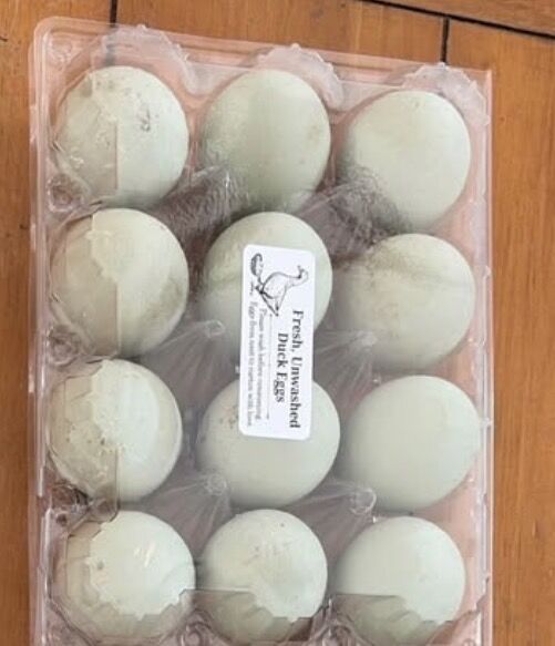 Duck Eggs