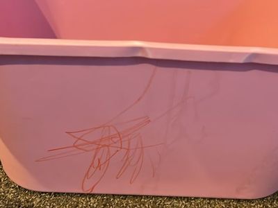Toy cars with bin