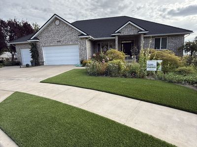 Pet-Friendly Artificial Turf Grass Roll