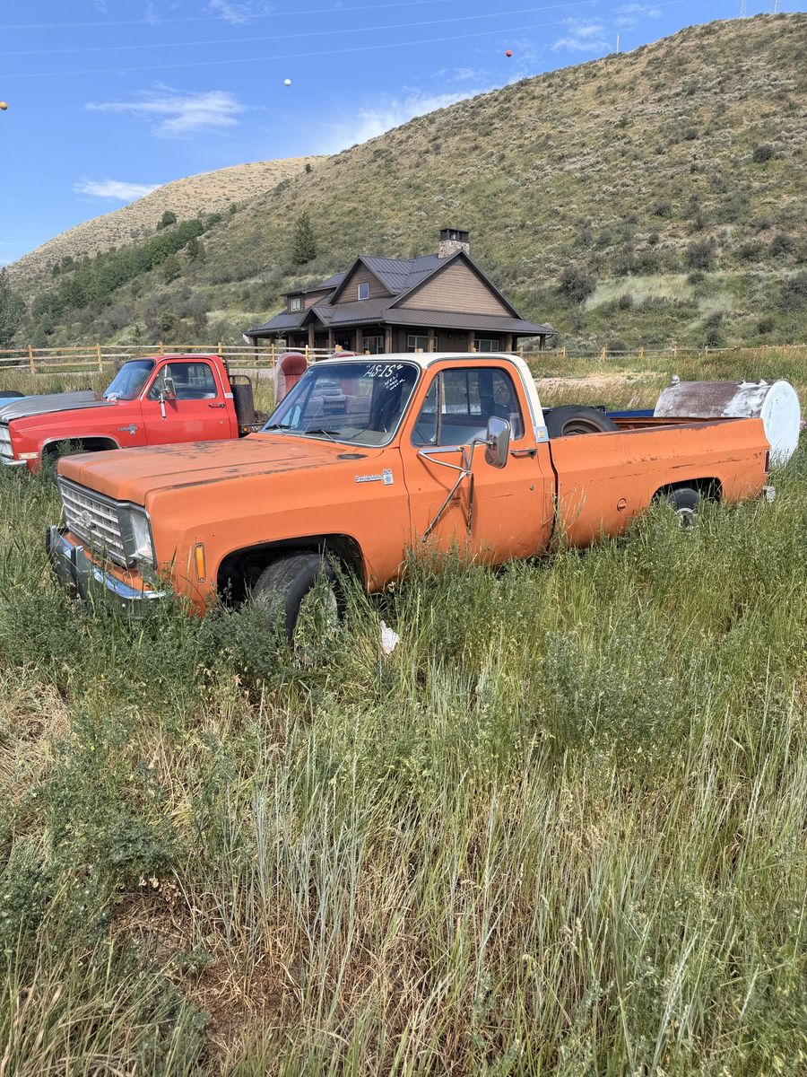 1977 Chevrolet C/K 20 Series C20 Silverado