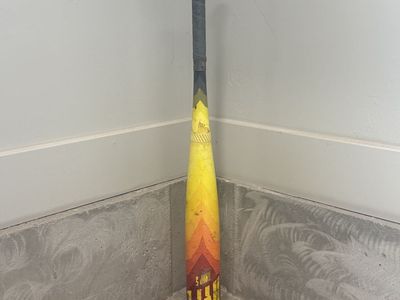Easton Hype Fire Bat 2024