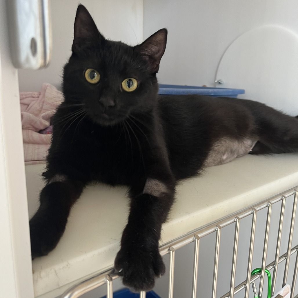 Hello my name is Darcie