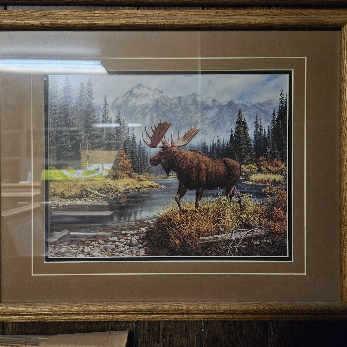 Framed Moose print