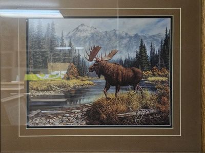 Framed Moose print