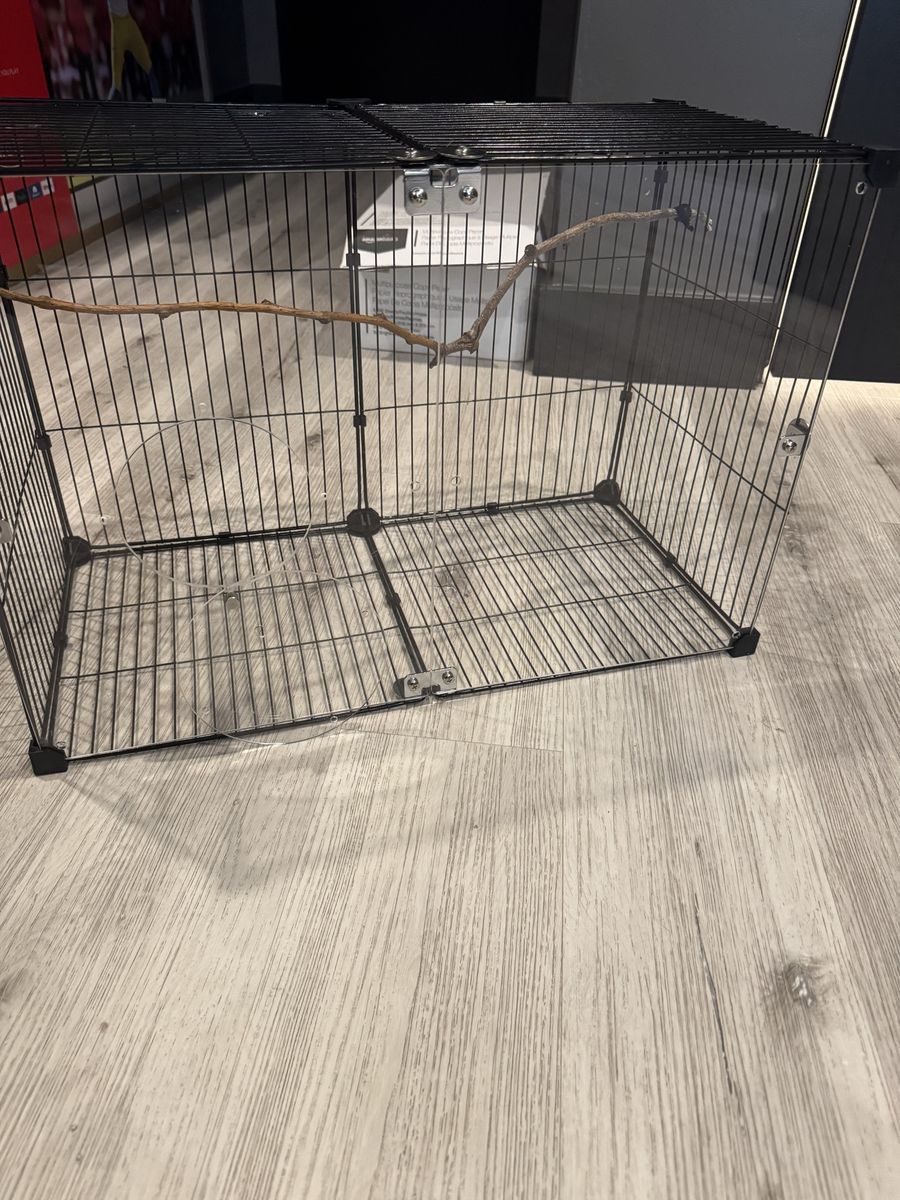 Acrylic bird cage
