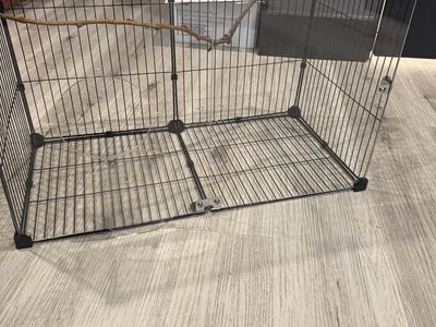 Acrylic bird cage