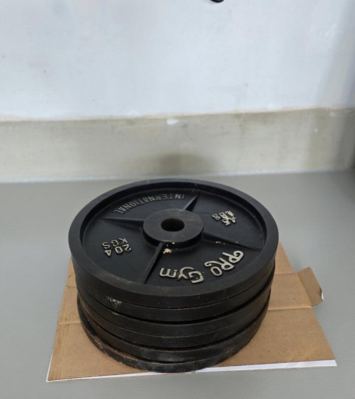 Pro Gym International 45lbs Weight Plates - 20.4 Kgs Standard Cast Iron Dumbbell/Barbell Plates (Set of 6)