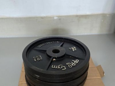 Pro Gym International 45lbs Weight Plates - 20.4 Kgs Standard Cast Iron Dumbbell/Barbell Plates (Set of 6)