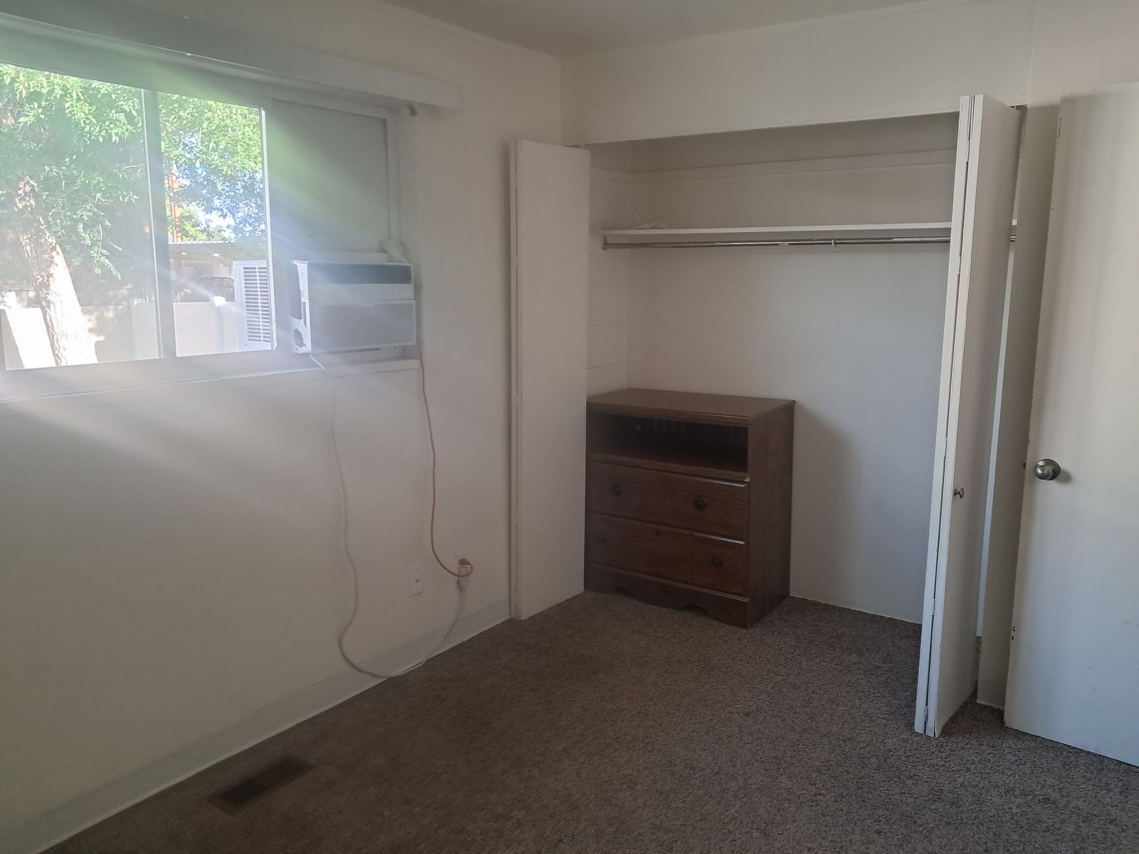 Female Roommate Wanted