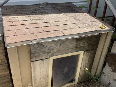 Wooden Dog House with Shingle Roof and Pet Door - Weather-Resistant Shelter for Your Furry Friend