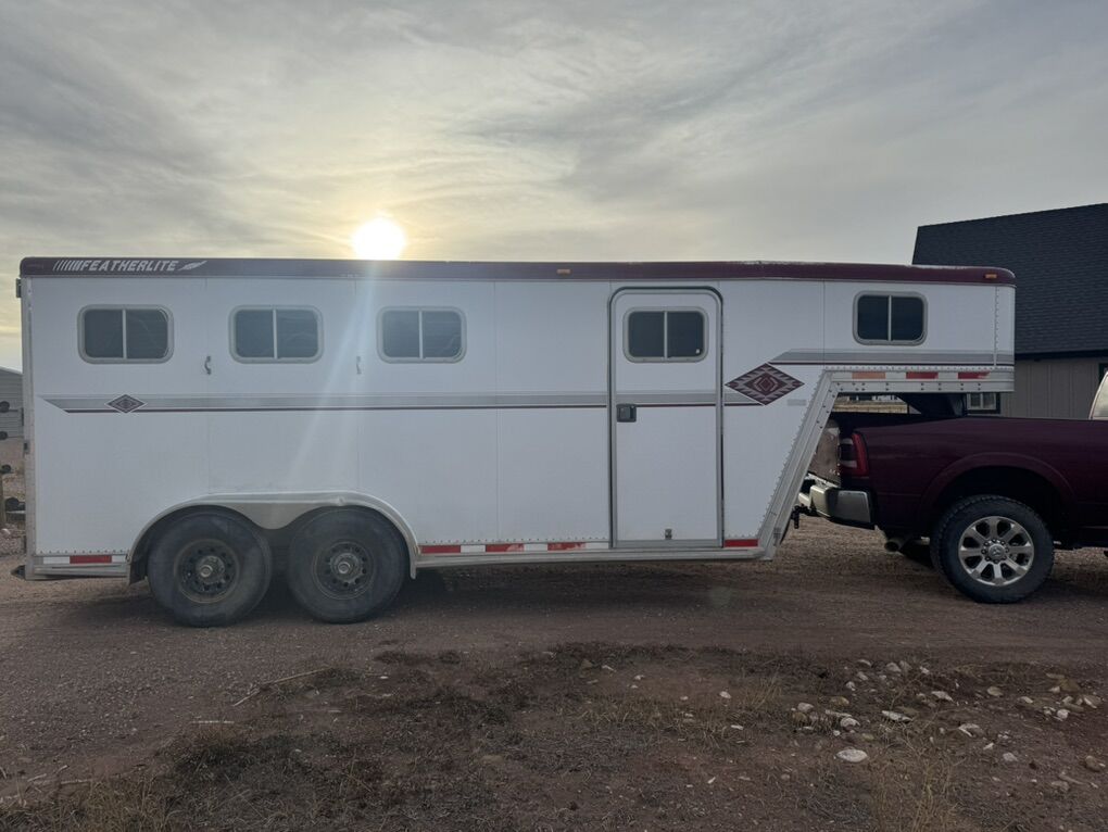 1998 Featherlite 3 Horse Slant GN