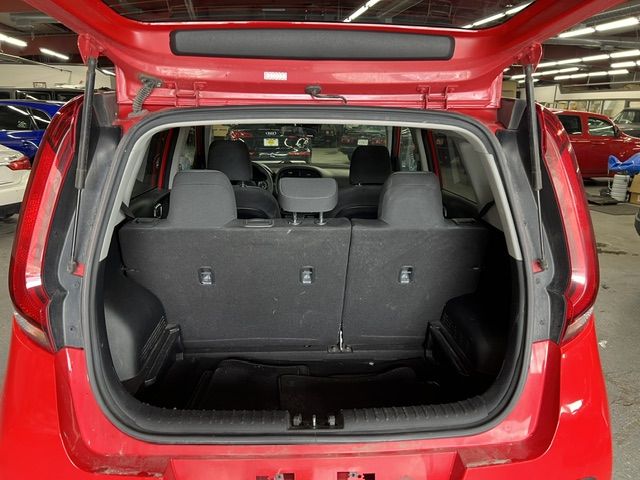 Main image 7